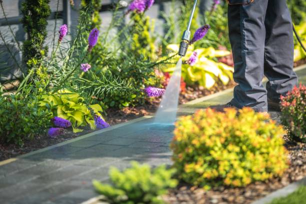 Best Patio and Deck Pressure Washing  in Augusta, AR