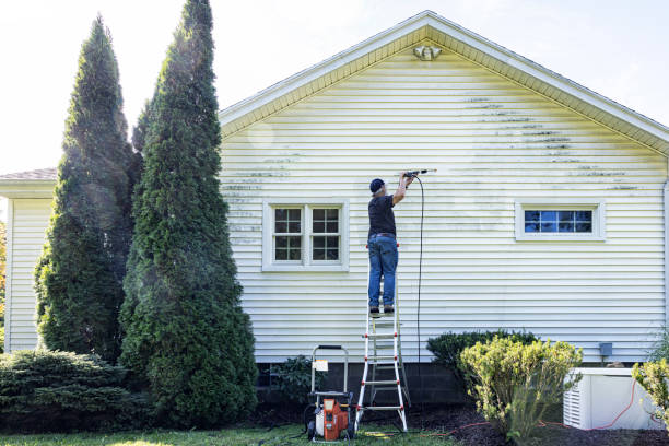 Best Driveway Pressure Washing  in Augusta, AR